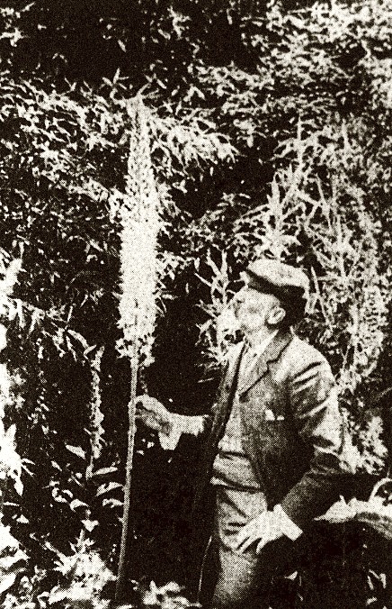 Alexander Bathgate and Arbor&nbsp;Day